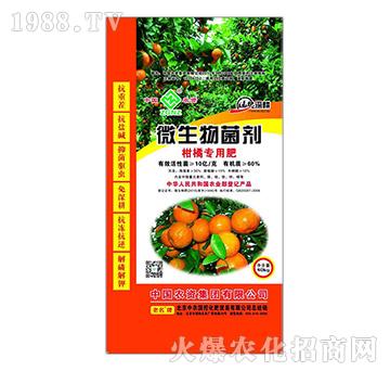 ���ٌ�(zhu��n)��΢�������-���r(n��ng)