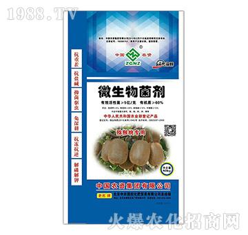 �J���Ҍ�(zhu��n)��΢�������-���r(n��ng)