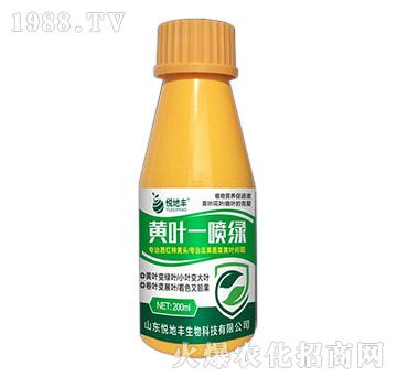 �S�~һ���G-�����S