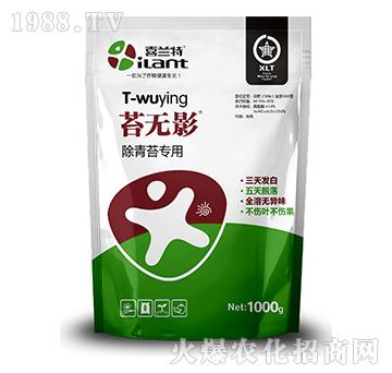 ����̦����-̦�oӰ-ϲ�m��