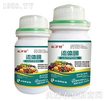 ���w��-���˹����r(n��ng)��