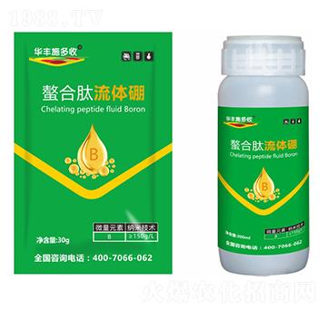 ���������w��-�A�Sʩ���S-�滯���h