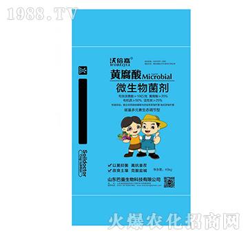 �S����΢�������10�|-����