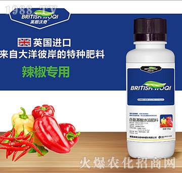 �������ú�������ˮ�ܷ���-Ӣ������