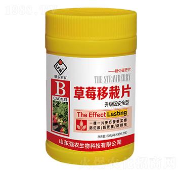 ��ݮ����Ƭ-��(qi��ng)�r(n��ng)����