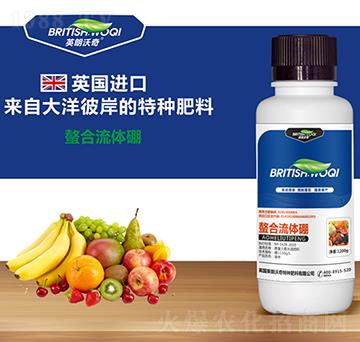 �������w��-Ӣ������