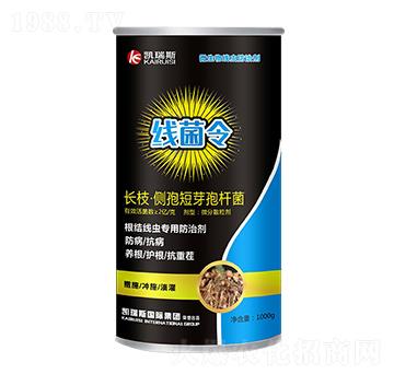 �L֦����(c��)�߶�ѿ�ߗU��-������-�P��˹