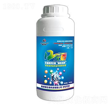 12Ԫ��-�W�R˹