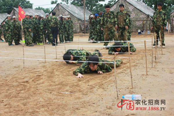 ����(zh��n)�(du��)-��(ji��n)�ֲ����ի@�ɹ�