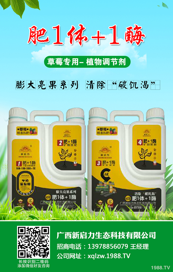 小麥播種時(shí)間