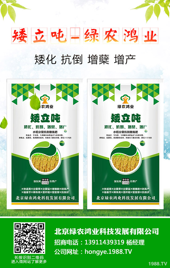 蒜苗的種植方法有哪些，如何才能獲得高產(chǎn)？