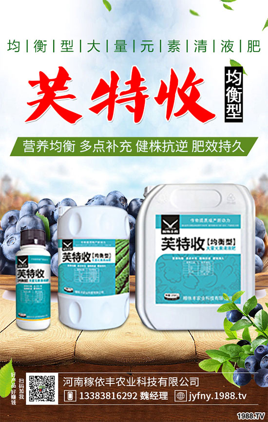 陽臺上能種植上海青嗎？該注意什么？陽臺上種植上海青的注意事項(xiàng)