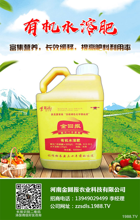 十月份蔬菜該怎么管理？2019年10月蔬菜種植管理指南