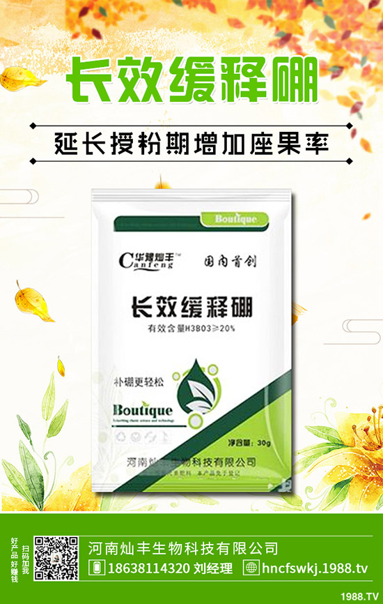 金錢草和銅錢草有什么不同?金錢草和銅錢草的區(qū)別哪些?