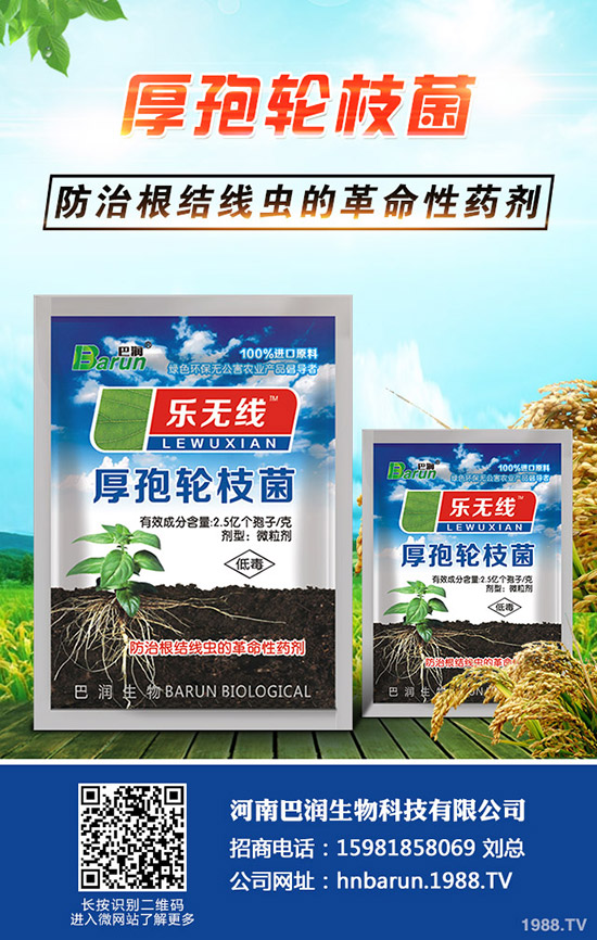 三角梅怎么養(yǎng),三角梅的養(yǎng)殖方法和注意事項!