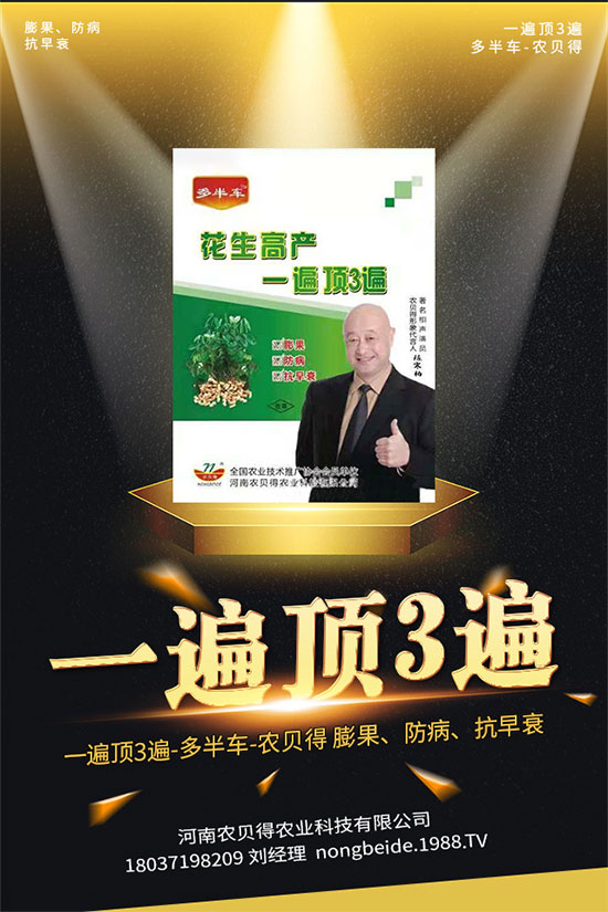 ���ӵĹ�Ч�c������ʲô�� ���ӵĠI�B(y��ng)�rֵ��