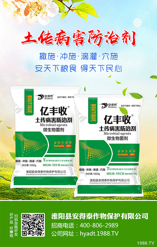 ���}���Ĺ�Ч�c���������}���I�B(y��ng)�rֵ��