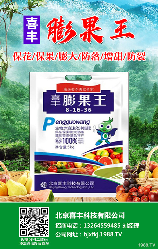 芹菜發(fā)芽慢怎么辦，芹菜催芽方法有哪些？