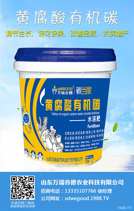 С�ײ�ʲô�r(sh��)��Nֲ��С�ײ˸߮a(ch��n)�Nֲ���g(sh��)