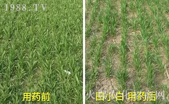 ��(ji��)��(ji��)����η�������ʲôˎ����ô��ˎЧ���ã�