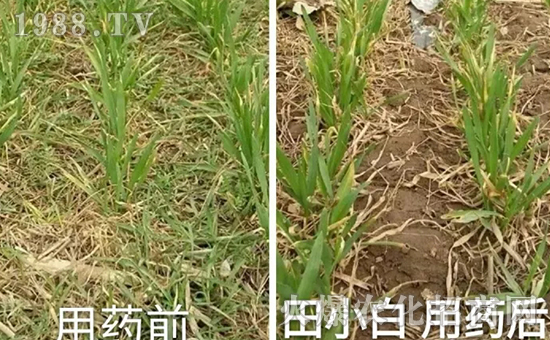 ��(ji��)��(ji��)����η�������ʲôˎ����ô��ˎЧ������