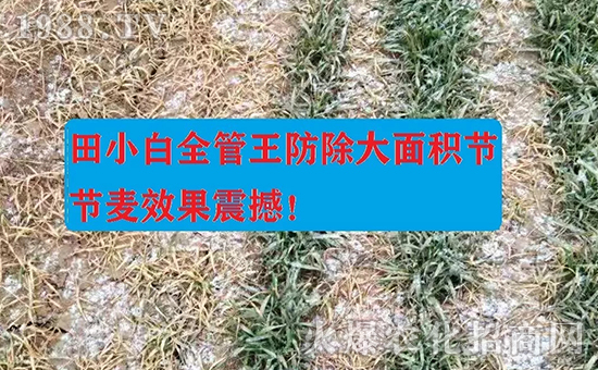 ��(ji��)��(ji��)����η�������ʲôˎ����ô��ˎЧ���ã�