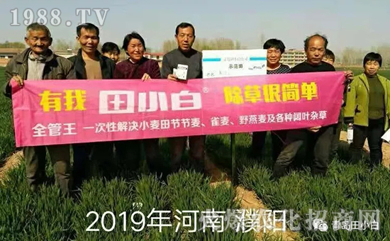 39��(ji��)��(ji��)����η�������ʲôˎ����ô��ˎЧ������