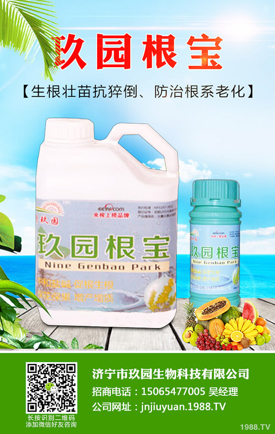 �������x��η����������x��Σ�����l(f��)��Ҏ(gu��)����