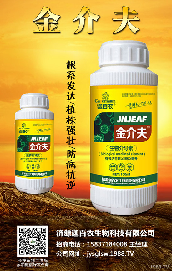 ���������o��������ô�k�������o���������\���c���Σ�