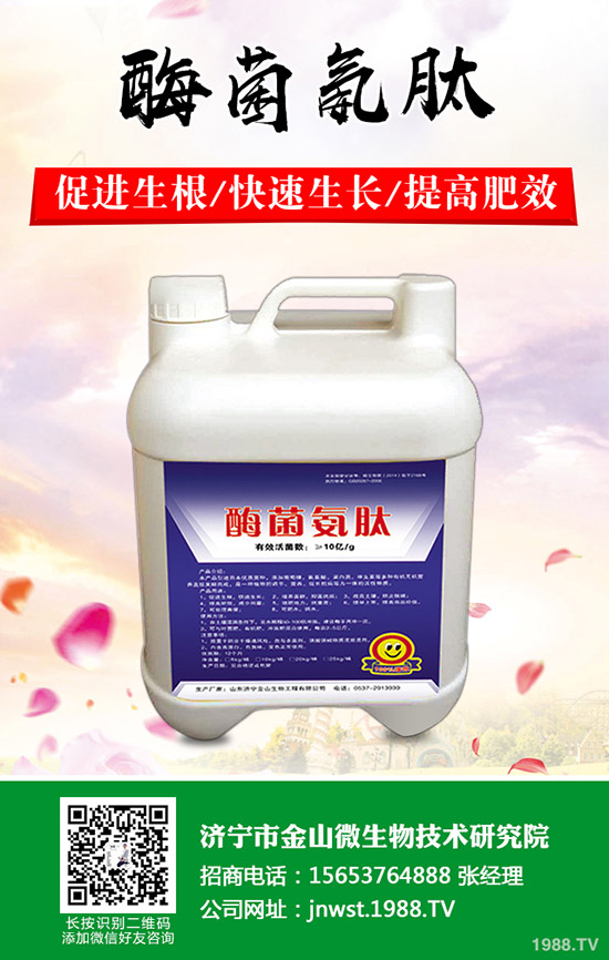 �춬���ӷNֲ���춬�߮a(ch��n)�������g(sh��)��