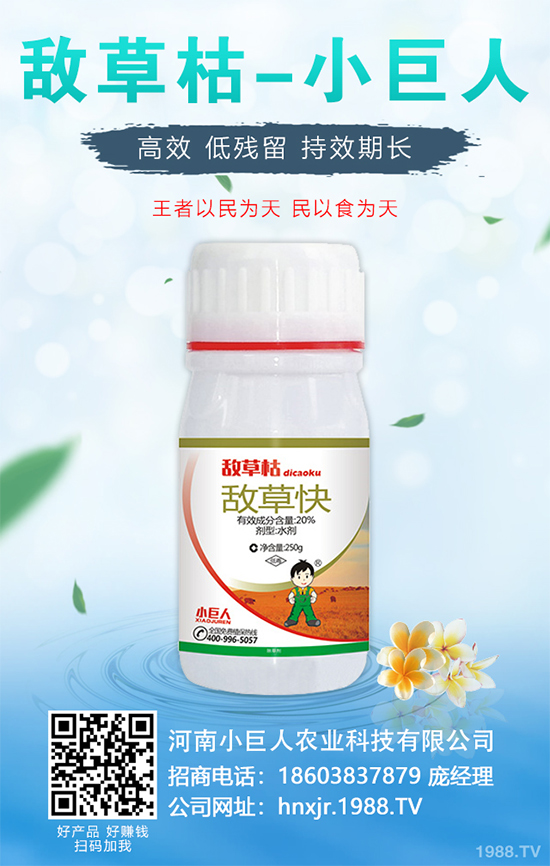 ���y���ķNֲ���g(sh��)��2020����y���Nֲǰ������