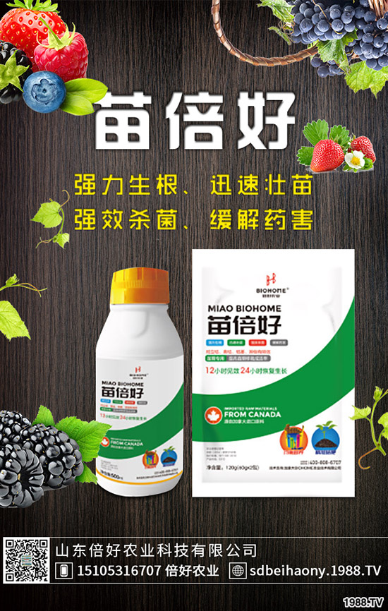 ����ʲô�r��Nֲ������ʲô�r����գ�