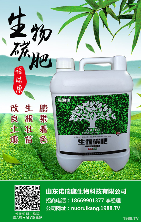 ����������ԓ��ô�N�������@���c���p�ɷN����������