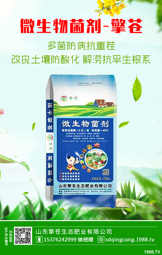     ���؃r(ji��)���µ�һ����2019��10��26�ս��ո��؅^(q��)�����������S��(b��o)�r(ji��)��