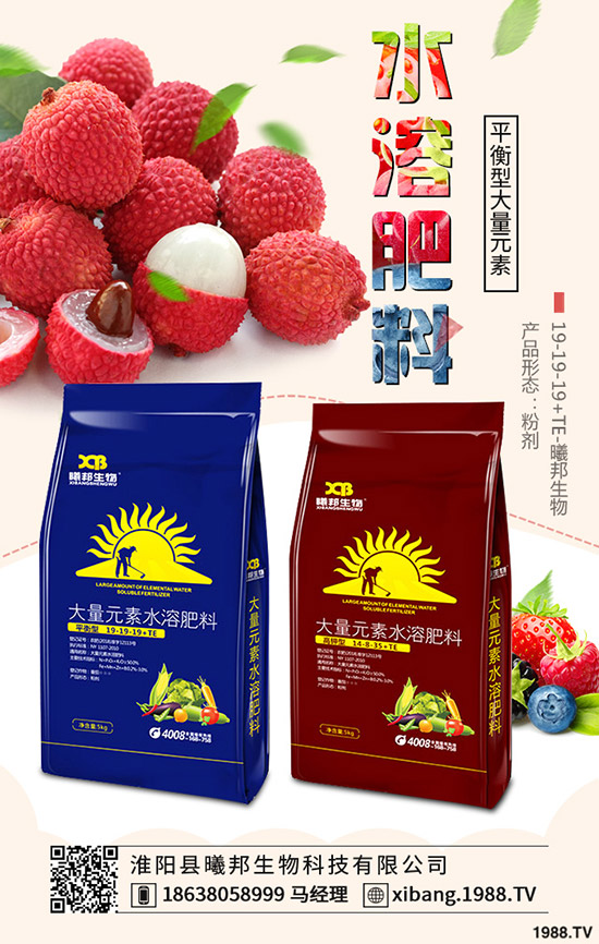 越冬菠菜怎么種，越冬菠菜的種植時間及種植方法！