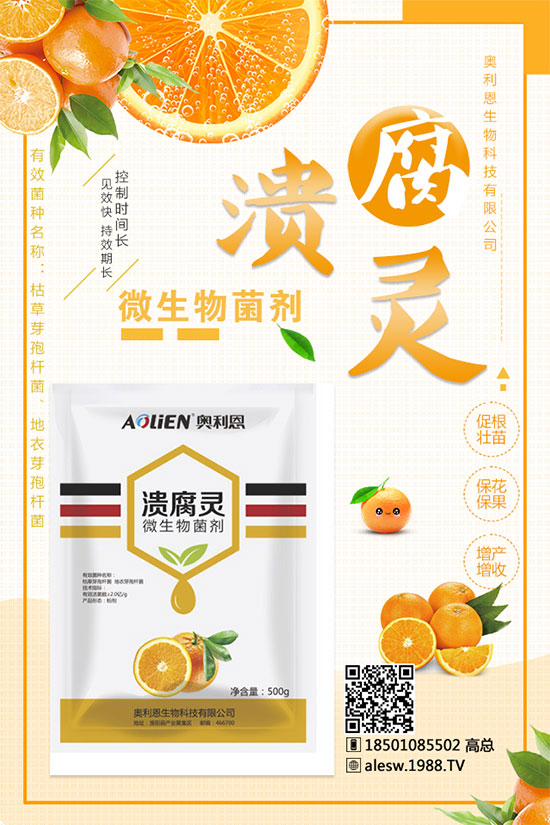 ����ʲô�r��N������Nֲ���g(sh��)���Nֲ�l��