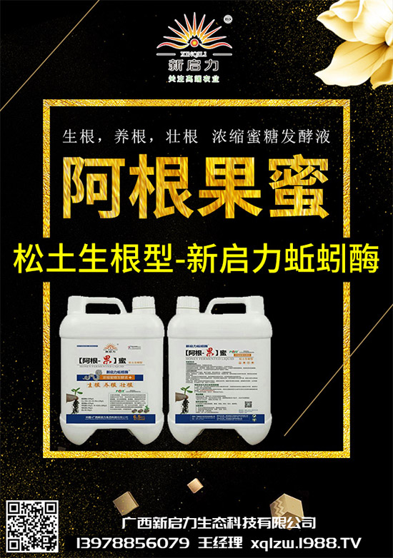 ���{��Ä������ЩΣ��������{�����İl(f��)���c���μ���