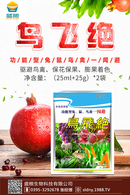 �������t������ڷ����������t���ڷ۷�������Щ��