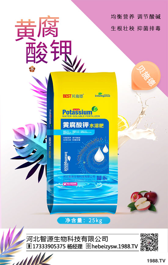 ����ը���ӷNֲ�����¹����༼�g(sh��)��