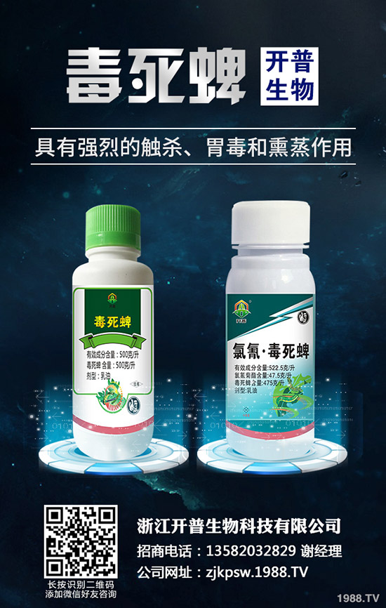 秋季種植哪些蔬菜好，秋季蔬菜種植指南！