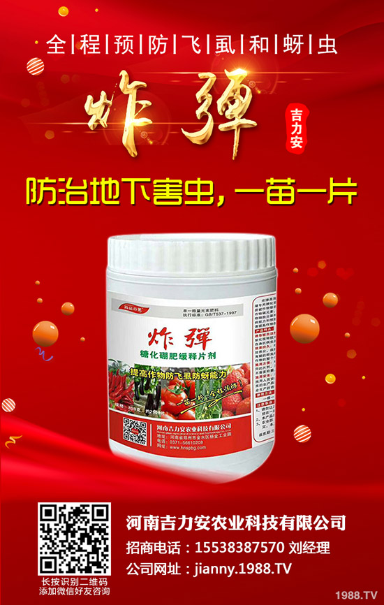 �۲˵Ĺ�Ч�c��������Щ�˲��ܳ��۲ˣ�