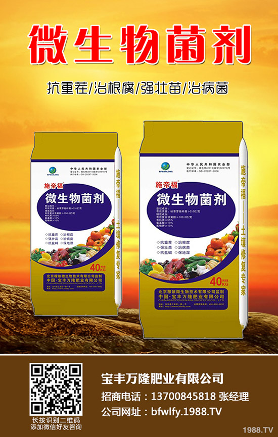 黑豆什么時候種植，黑豆收獲時間及種植方法！