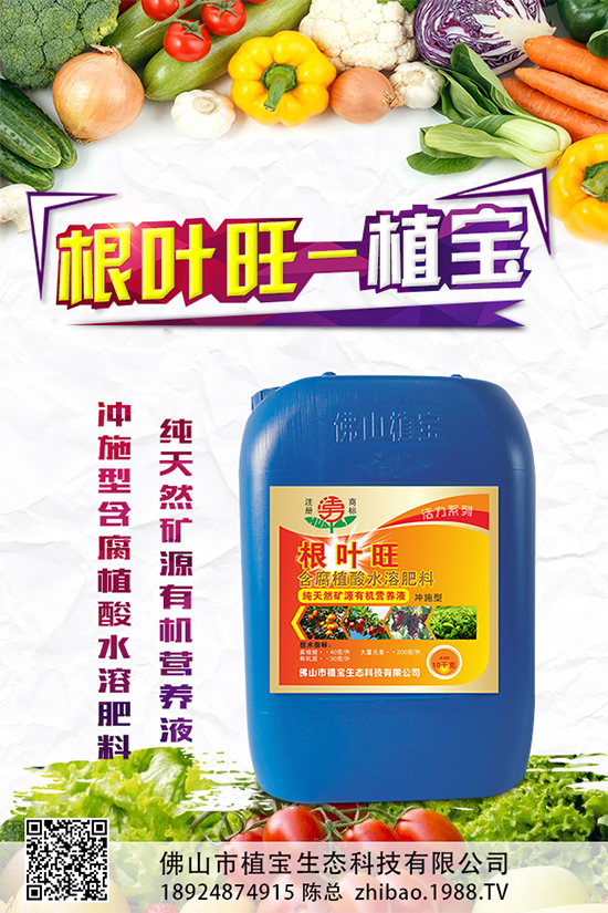 越冬茄子該如何施肥?冬茬茄子施肥技術(shù)要點(diǎn)