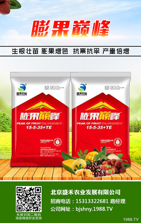 韭菜的種植時間是什么時候,韭菜的種植要點(diǎn)您了解嗎?