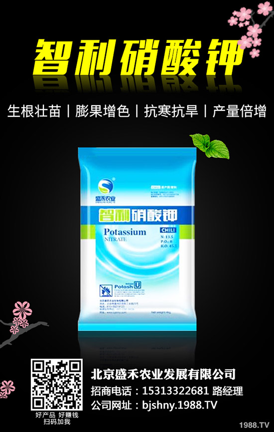 黑豆什么時(shí)候種植，黑豆的種植要點(diǎn)有哪些？