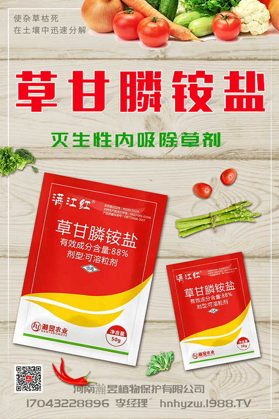 草莓根腐病得了根腐病咋辦？草莓根腐病發(fā)生條件、發(fā)病發(fā)癥狀及防治！