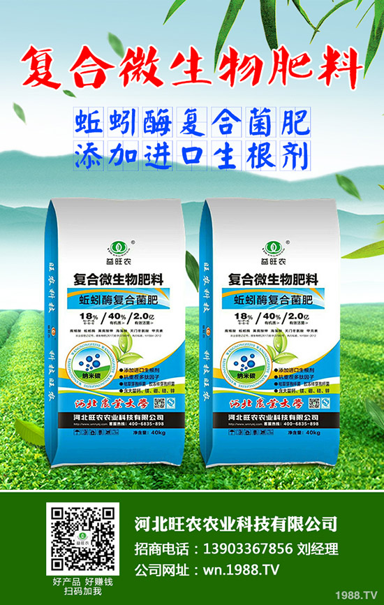 吃菠蘿蜜有什么好處，菠蘿蜜的功效與作用有哪些？