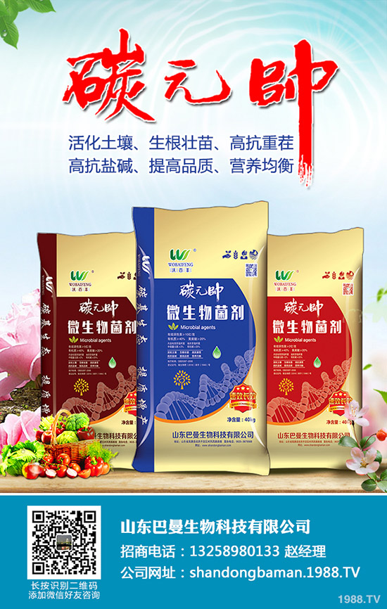     2019-11-15�����܈�(b��o)���r(ji��)����m(x��)�»��������������������