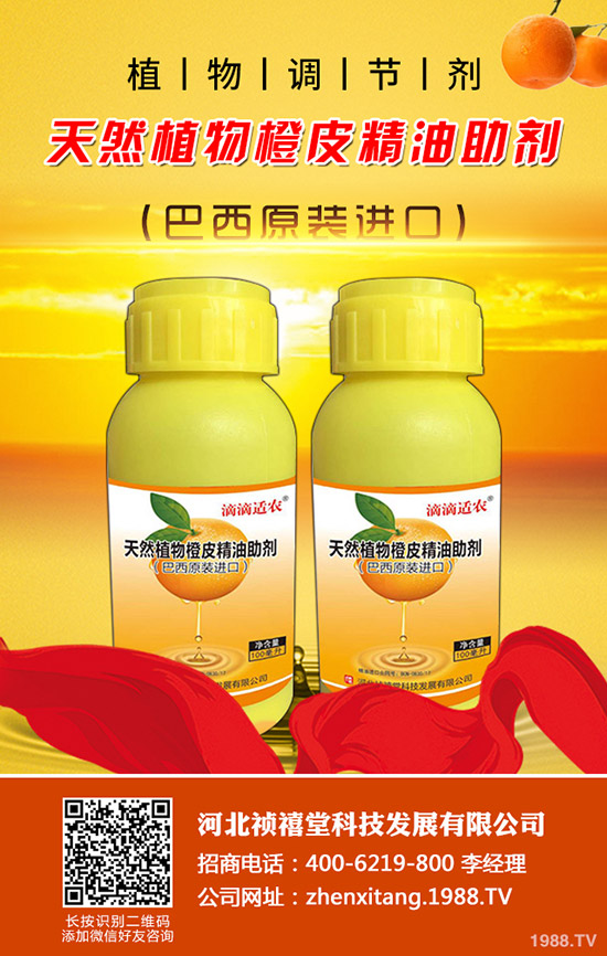 大頂苦瓜怎么種植?如何才能高產(chǎn)增收?