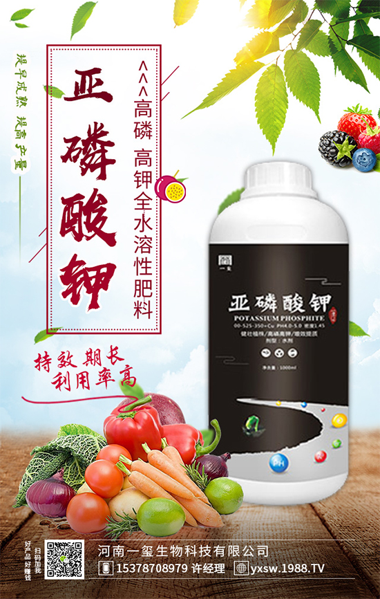 櫻桃樹為什么不結(jié)果？櫻桃樹不結(jié)果實的的解決方案！